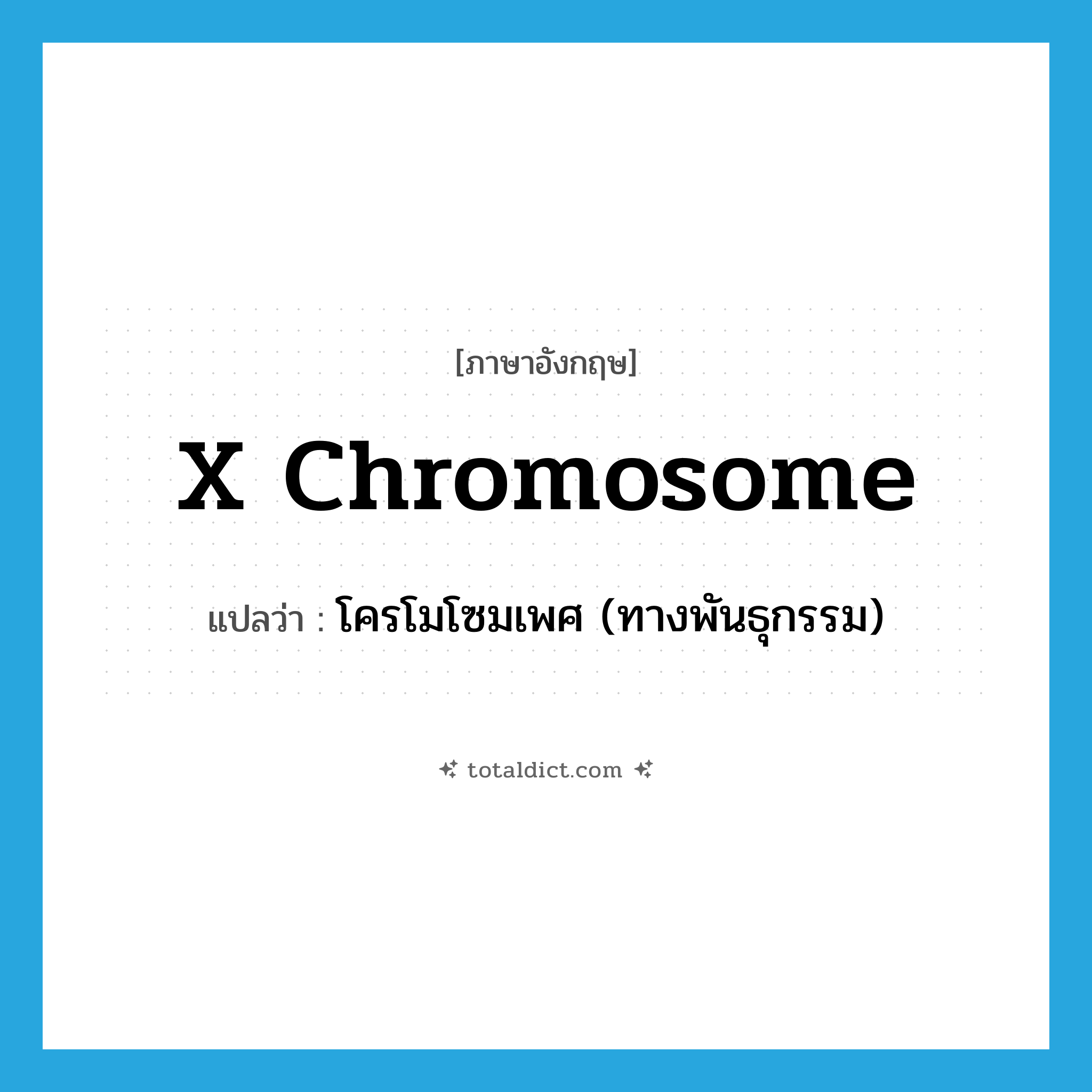 x chromosome แปลว่า?, คำศัพท์ภาษาอังกฤษ x chromosome แปลว่า โครโมโซมเพศ (ทางพันธุกรรม) ประเภท N หมวด N