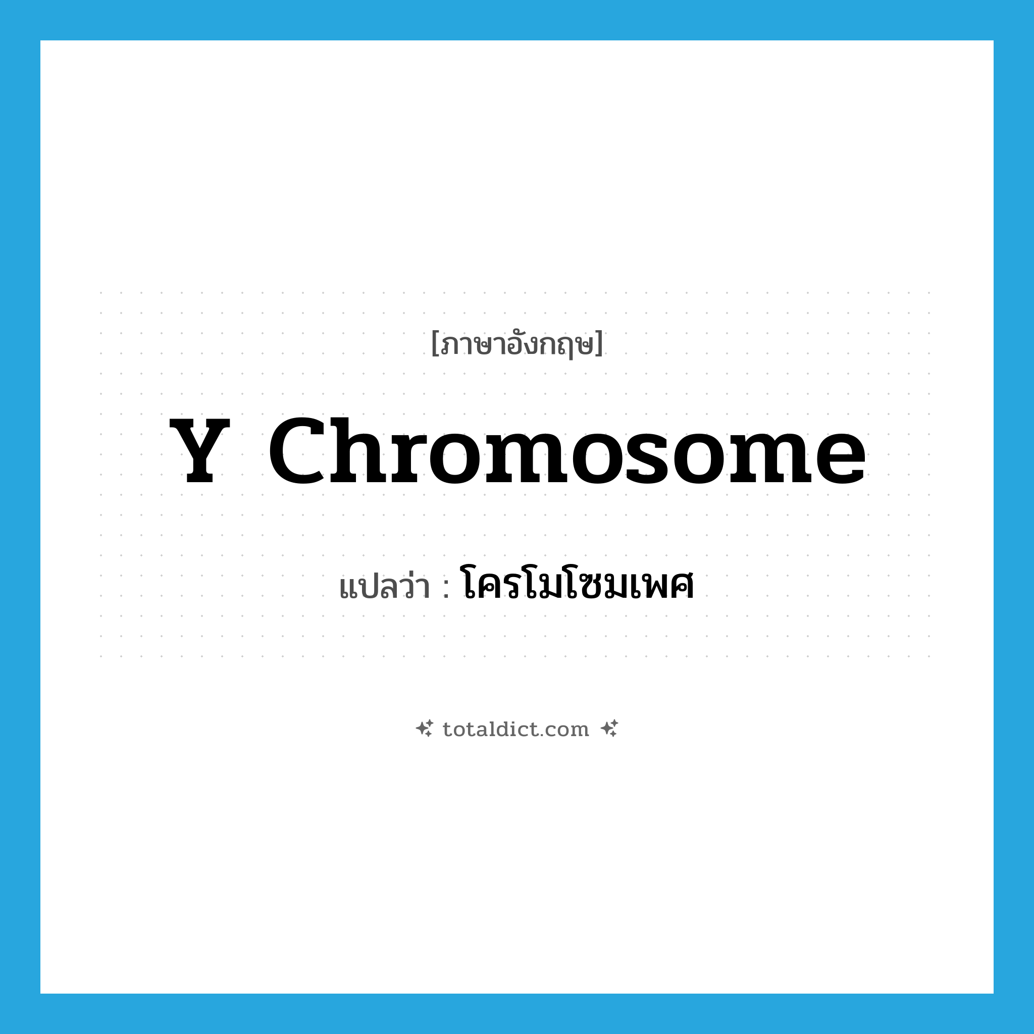 Y chromosome แปลว่า?, คำศัพท์ภาษาอังกฤษ Y chromosome แปลว่า โครโมโซมเพศ ประเภท N หมวด N