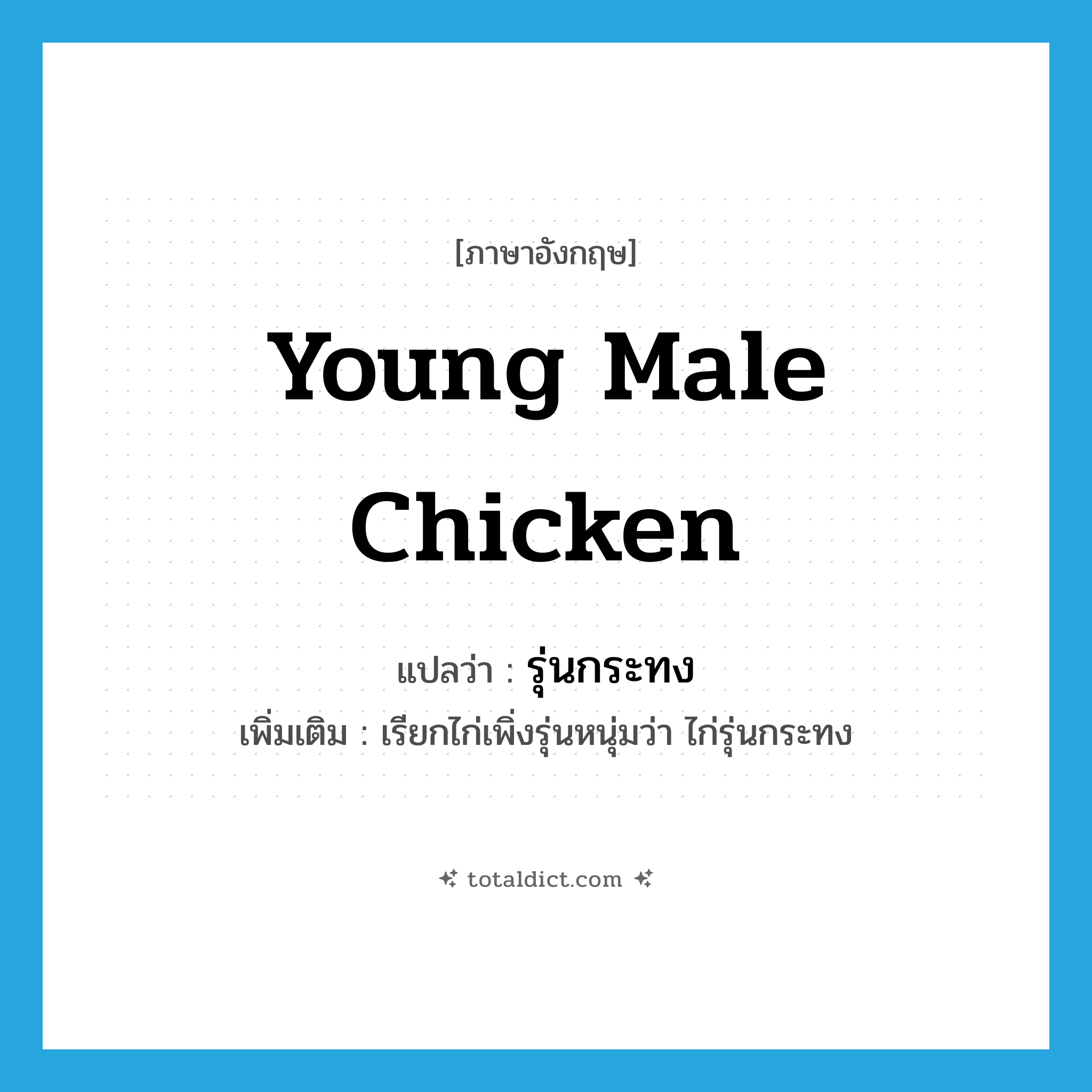 young male chicken แปลว่า?, คำศัพท์ภาษาอังกฤษ young male chicken แปลว่า รุ่นกระทง ประเภท N เพิ่มเติม เรียกไก่เพิ่งรุ่นหนุ่มว่า ไก่รุ่นกระทง หมวด N