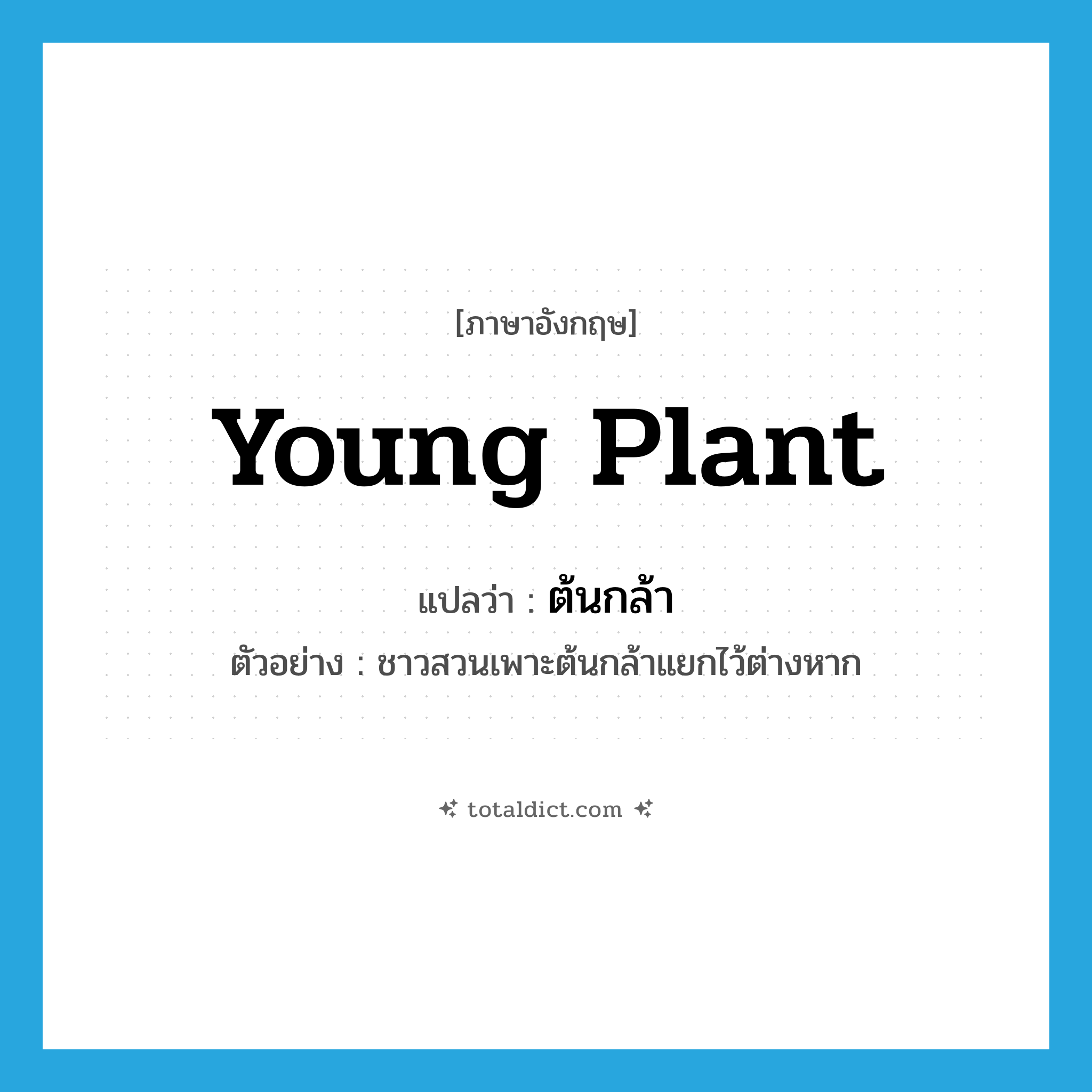 ต้นกล้า ภาษาอังกฤษ?, คำศัพท์ภาษาอังกฤษ ต้นกล้า แปลว่า young plant ประเภท N ตัวอย่าง ชาวสวนเพาะต้นกล้าแยกไว้ต่างหาก หมวด N