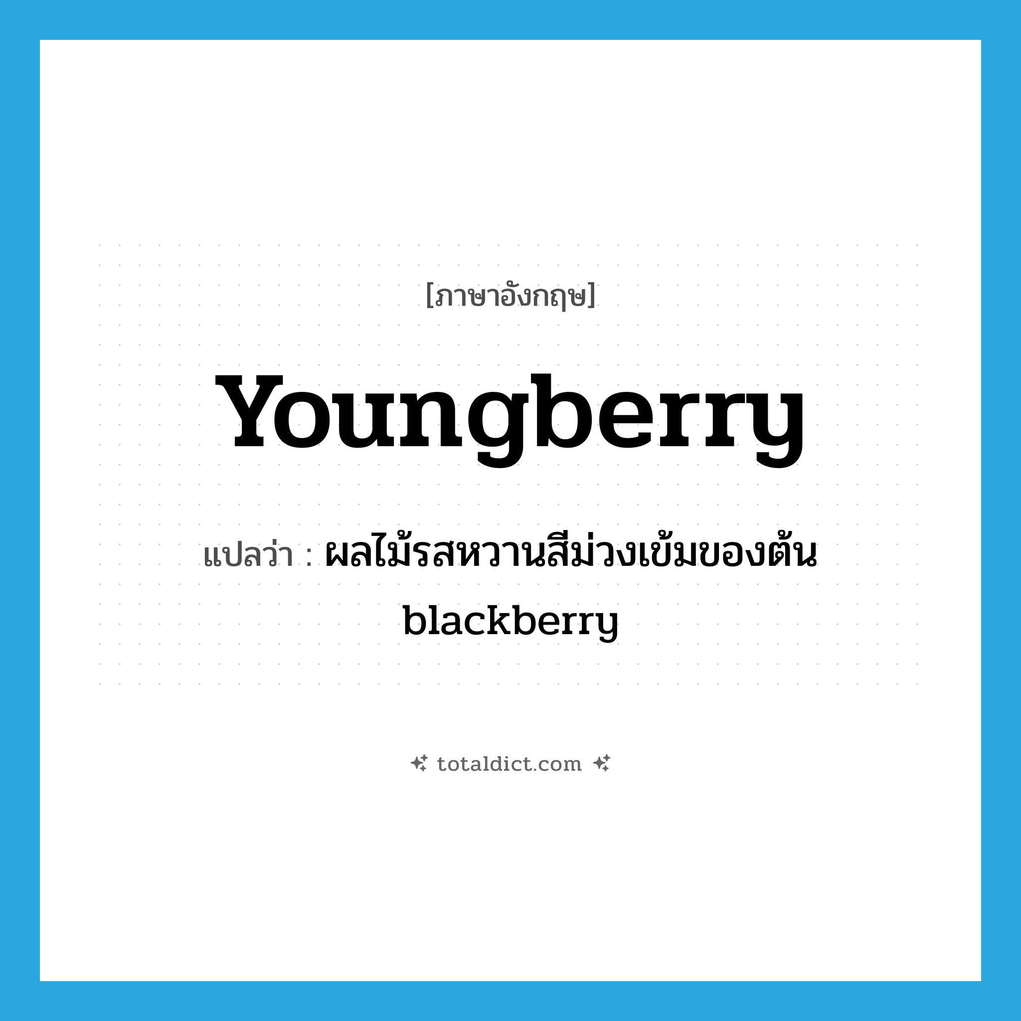 youngberry แปลว่า?, คำศัพท์ภาษาอังกฤษ youngberry แปลว่า ผลไม้รสหวานสีม่วงเข้มของต้น blackberry ประเภท N หมวด N