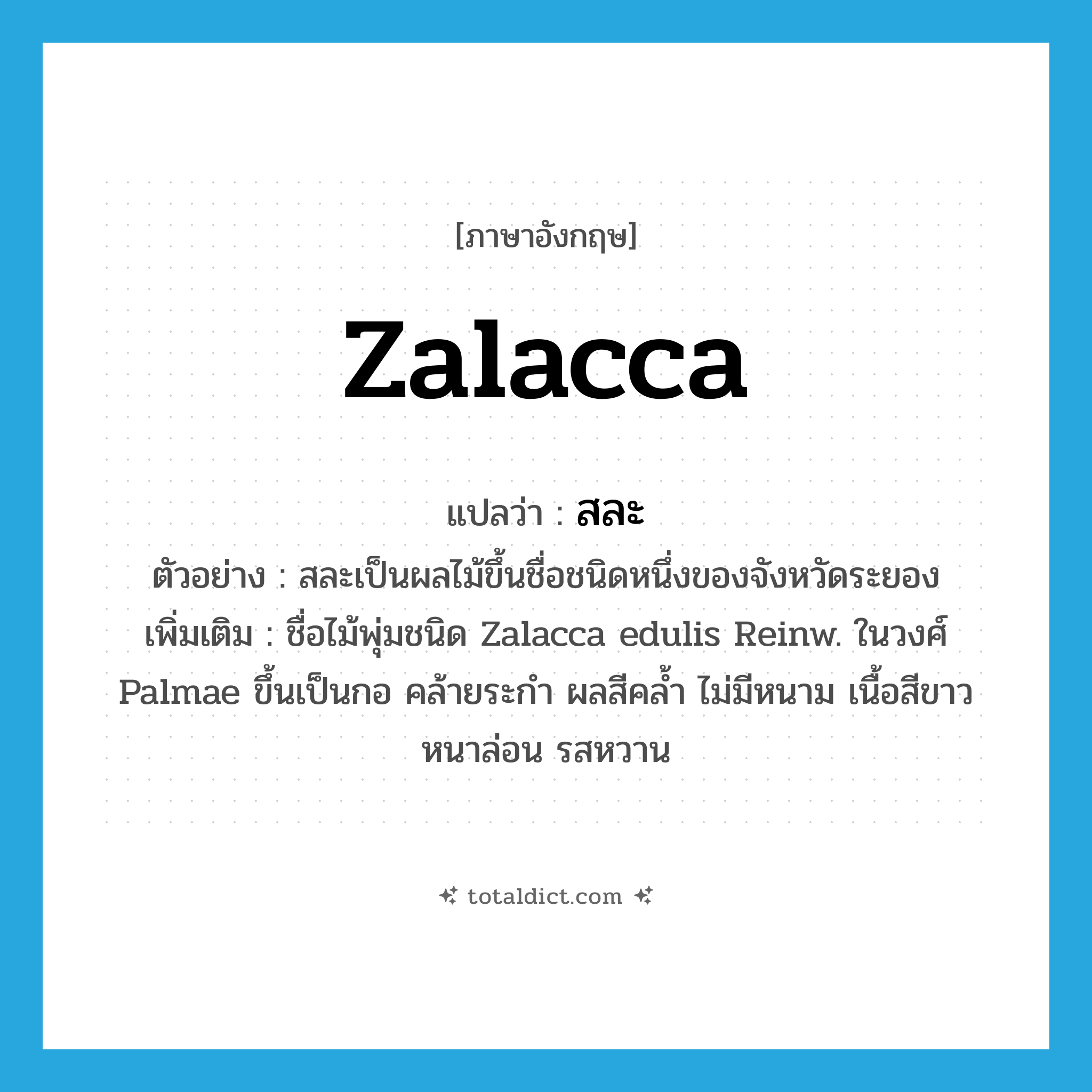 Zalacca แปลว่า?, คำศัพท์ภาษาอังกฤษ Zalacca แปลว่า สละ ประเภท N ตัวอย่าง สละเป็นผลไม้ขึ้นชื่อชนิดหนึ่งของจังหวัดระยอง เพิ่มเติม ชื่อไม้พุ่มชนิด Zalacca edulis Reinw. ในวงศ์ Palmae ขึ้นเป็นกอ คล้ายระกำ ผลสีคล้ำ ไม่มีหนาม เนื้อสีขาวหนาล่อน รสหวาน หมวด N