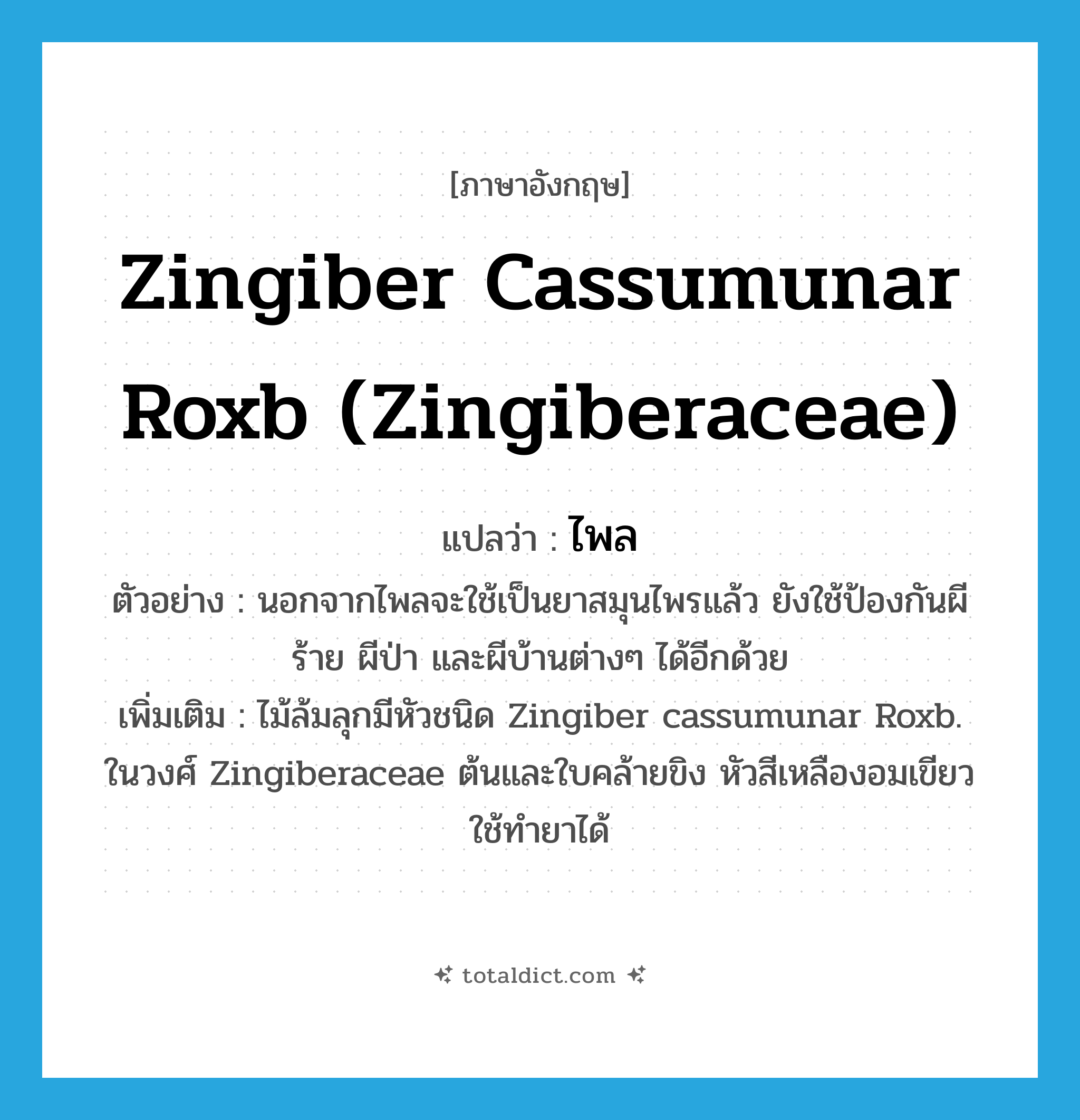 Zingiber cassumunar Roxb (Zingiberaceae) แปลว่า?, คำศัพท์ภาษาอังกฤษ Zingiber cassumunar Roxb (Zingiberaceae) แปลว่า ไพล ประเภท N ตัวอย่าง นอกจากไพลจะใช้เป็นยาสมุนไพรแล้ว ยังใช้ป้องกันผีร้าย ผีป่า และผีบ้านต่างๆ ได้อีกด้วย เพิ่มเติม ไม้ล้มลุกมีหัวชนิด Zingiber cassumunar Roxb. ในวงศ์ Zingiberaceae ต้นและใบคล้ายขิง หัวสีเหลืองอมเขียวใช้ทำยาได้ หมวด N