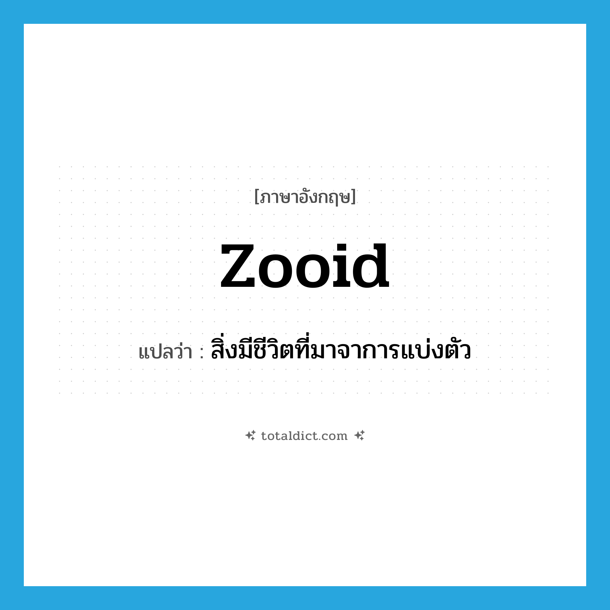 zooid แปลว่า?, คำศัพท์ภาษาอังกฤษ zooid แปลว่า สิ่งมีชีวิตที่มาจาการแบ่งตัว ประเภท N หมวด N